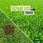 Soin regarnissage - Soin Regarnissage Universel 2 en 1 - 1 kg - image